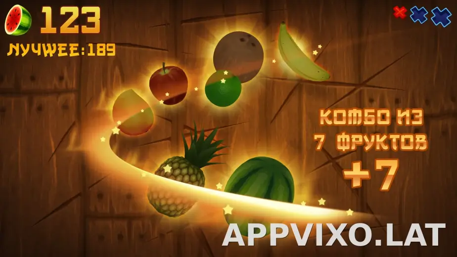 Fruit Ninja скриншот 1